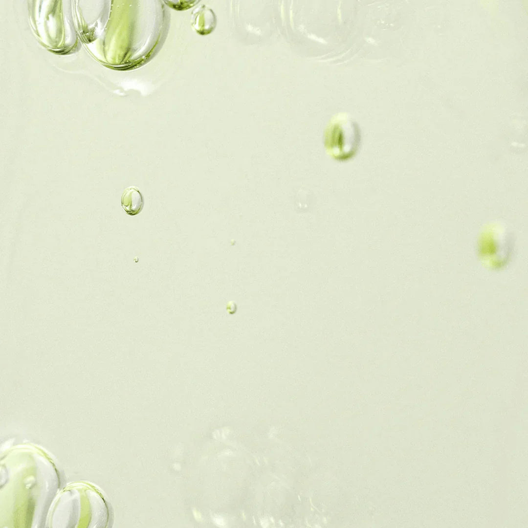 Beauty Of Joseon Green Tea + Panthenol Calming Serum 30ml