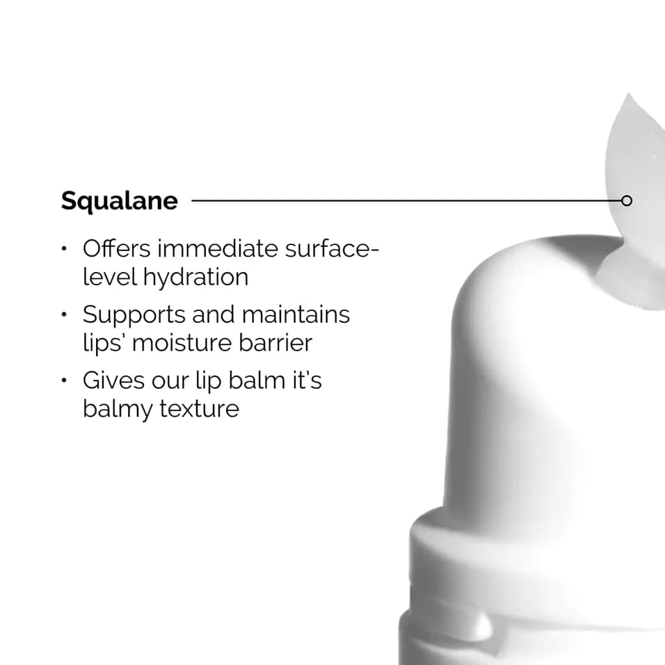 The Ordinary Squalane + Amino Acids Lip Balm 15ml - BeautyLabel