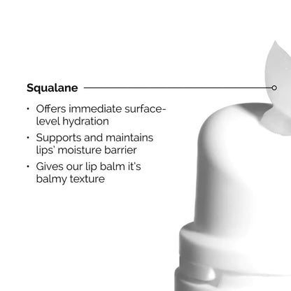 The Ordinary Squalane + Amino Acids Lip Balm 15ml - BeautyLabel