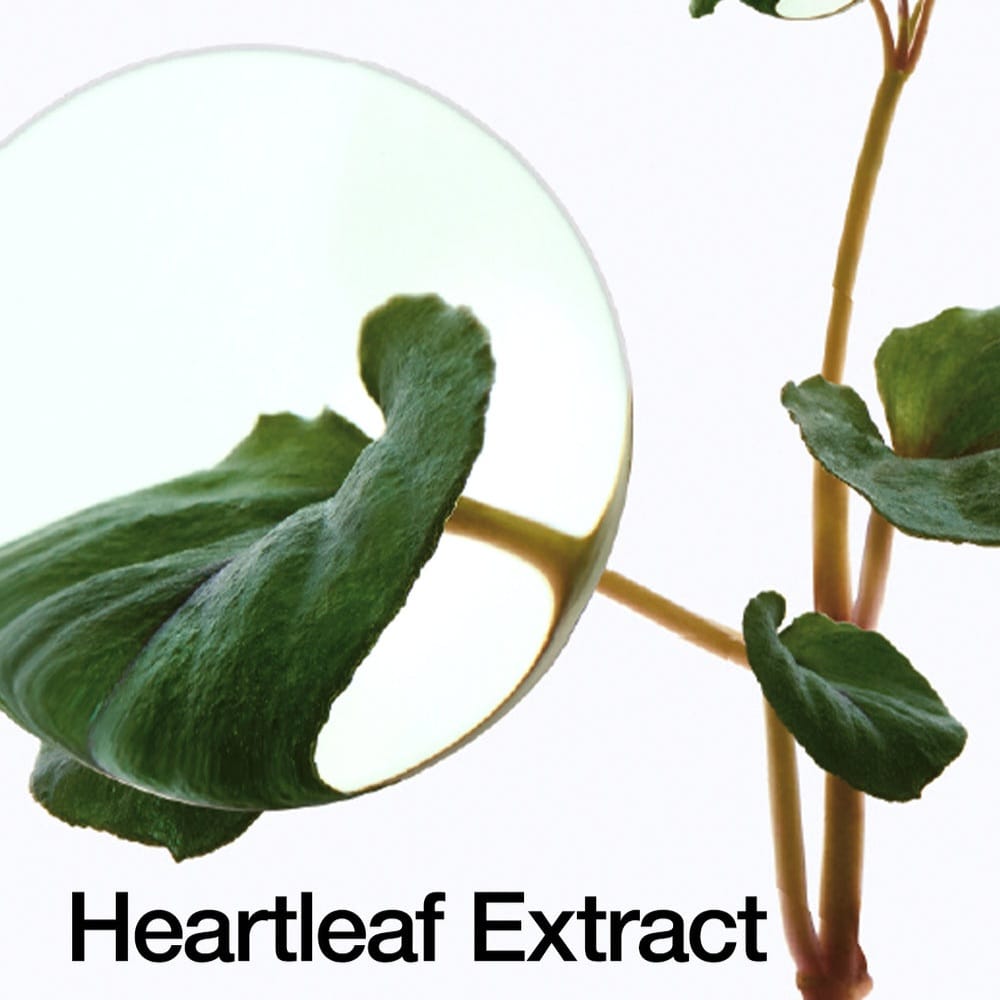 Anua Heartleaf 70% Daily Relief Lotion 200ml - BeautyLabelpersonal careAnuaBeautyLabel200mlAnua Heartleaf 70% Daily Relief Lotion 200ml - BeautyLabel