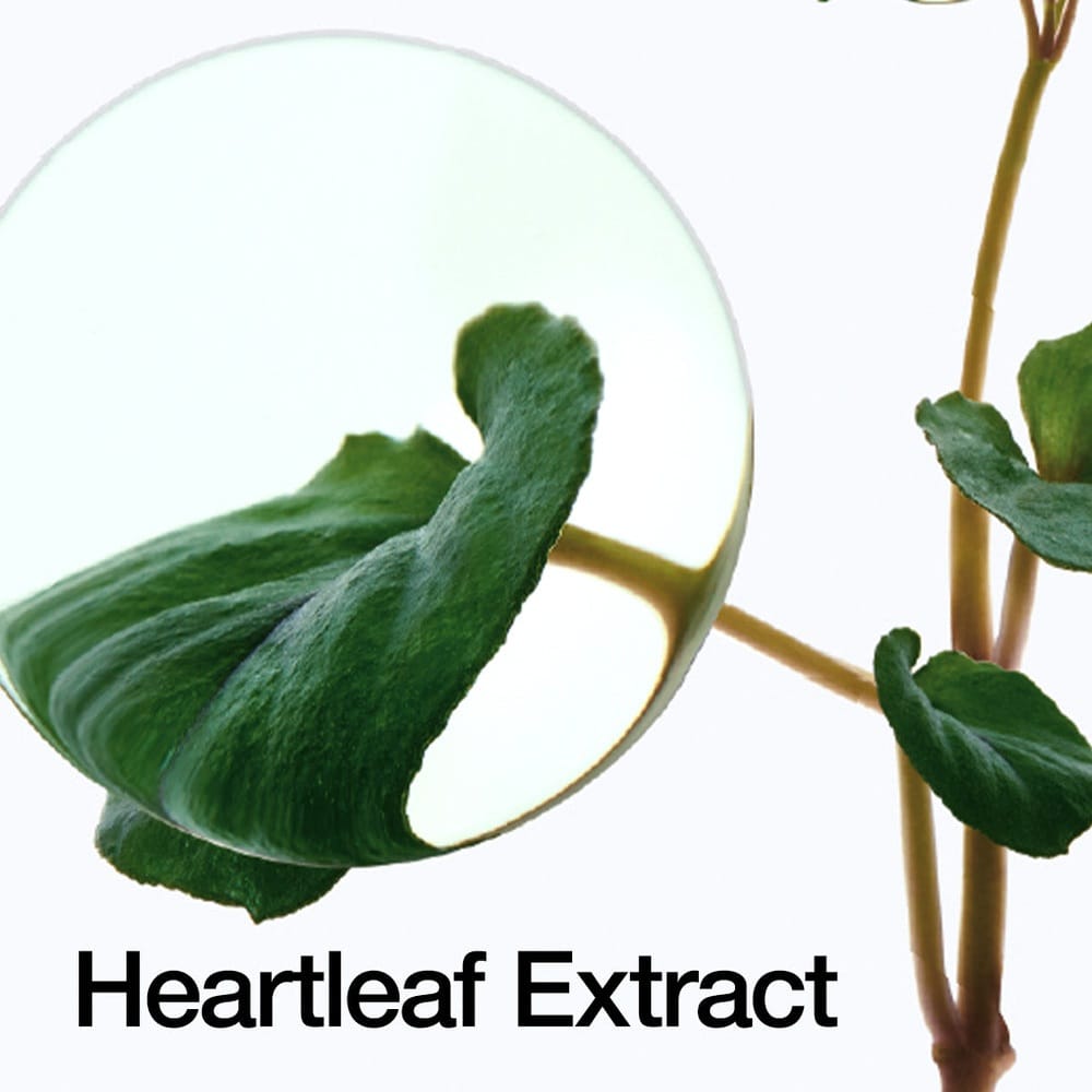 Anua Heartleaf 70 Intense Calming Cream 50ml - BeautyLabelpersonal careAnuaBeautyLabel50mlAnua Heartleaf 70 Intense Calming Cream 50ml - BeautyLabel