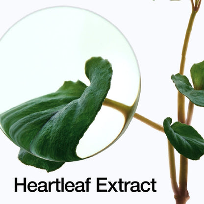 Anua Heartleaf 70 Intense Calming Cream 50ml - BeautyLabelpersonal careAnuaBeautyLabel50mlAnua Heartleaf 70 Intense Calming Cream 50ml - BeautyLabel